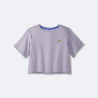 Women's Brooks Run Within Crop Tee T-Shirts Purple Grey Stripes | USA84650