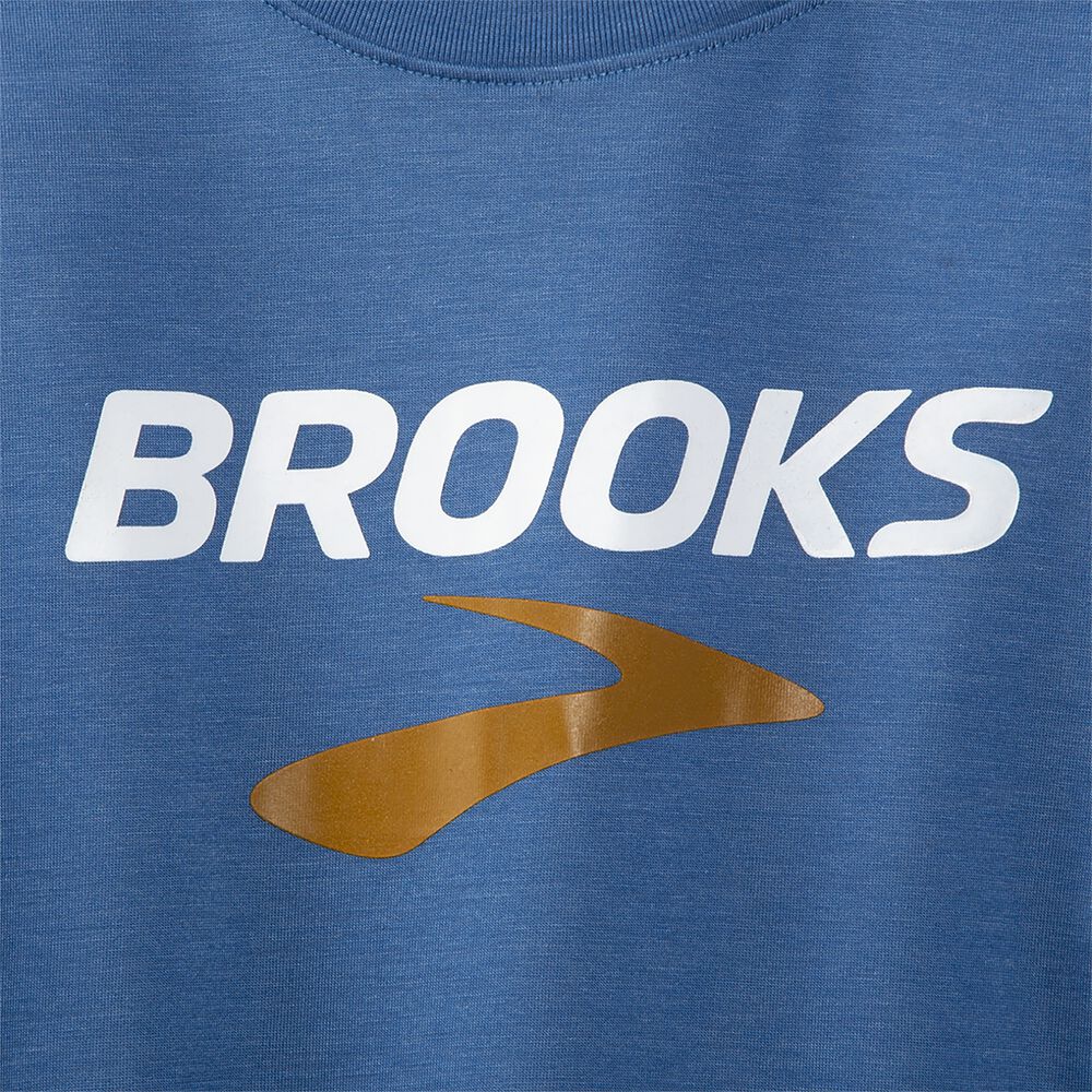 Women's Brooks Distance Graphic Long Sleeve T-Shirts Blue Grey | USA81276