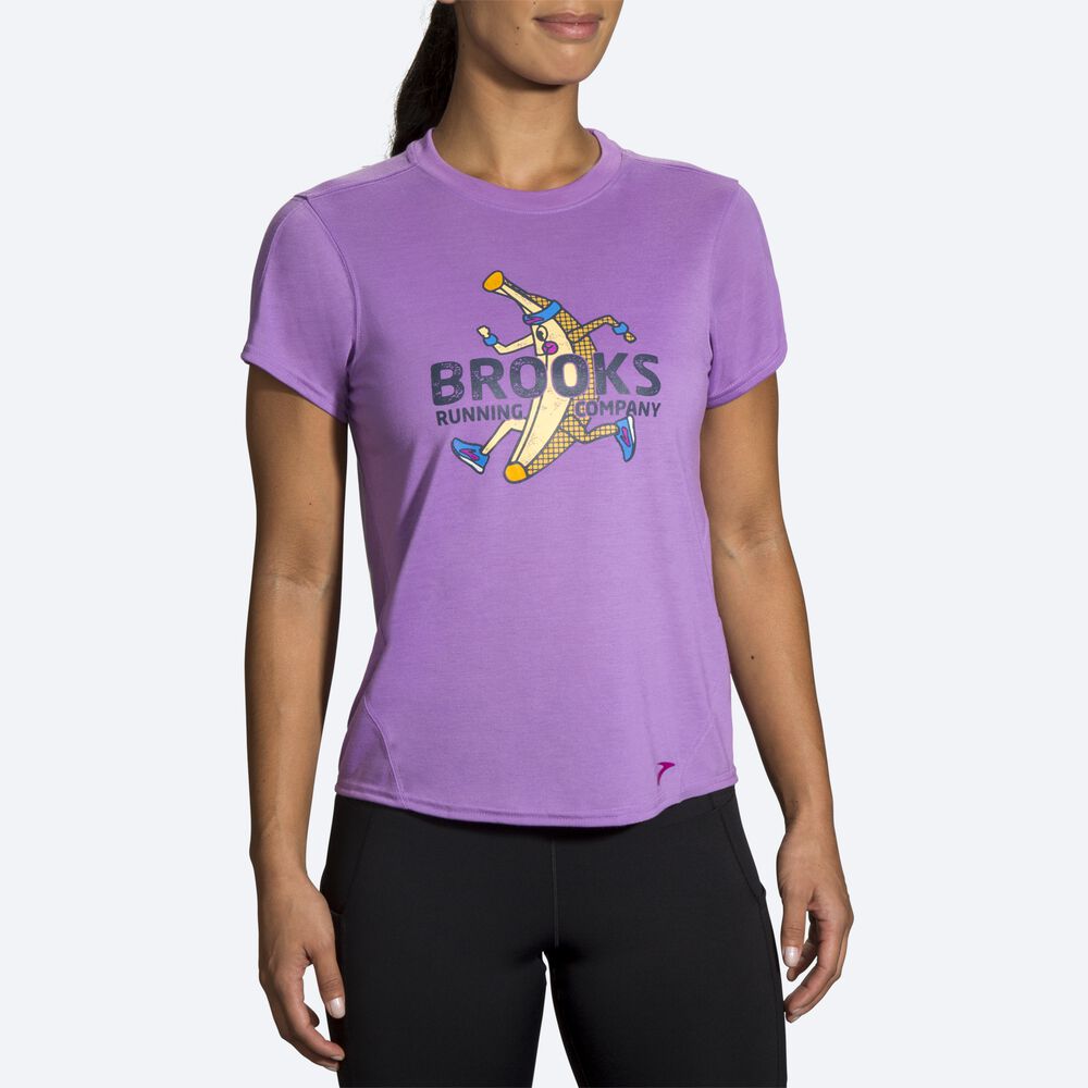 Women's Brooks Distance Graphic Short Sleeve T-Shirts Purple | USA69103