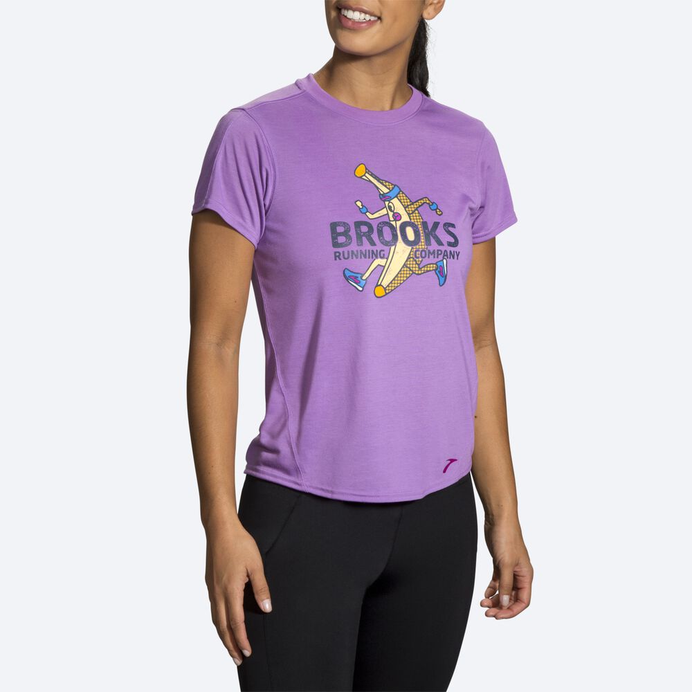 Women's Brooks Distance Graphic Short Sleeve T-Shirts Purple | USA69103