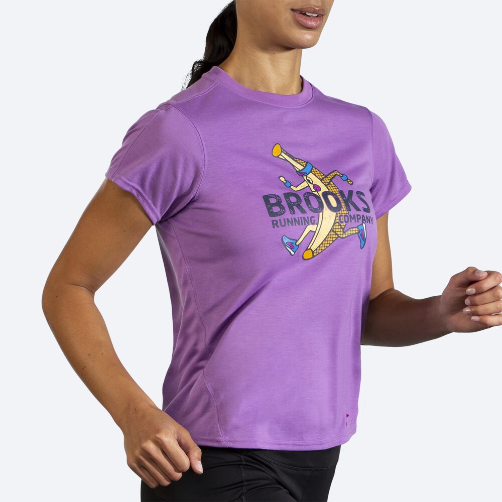 Women's Brooks Distance Graphic Short Sleeve T-Shirts Purple | USA69103