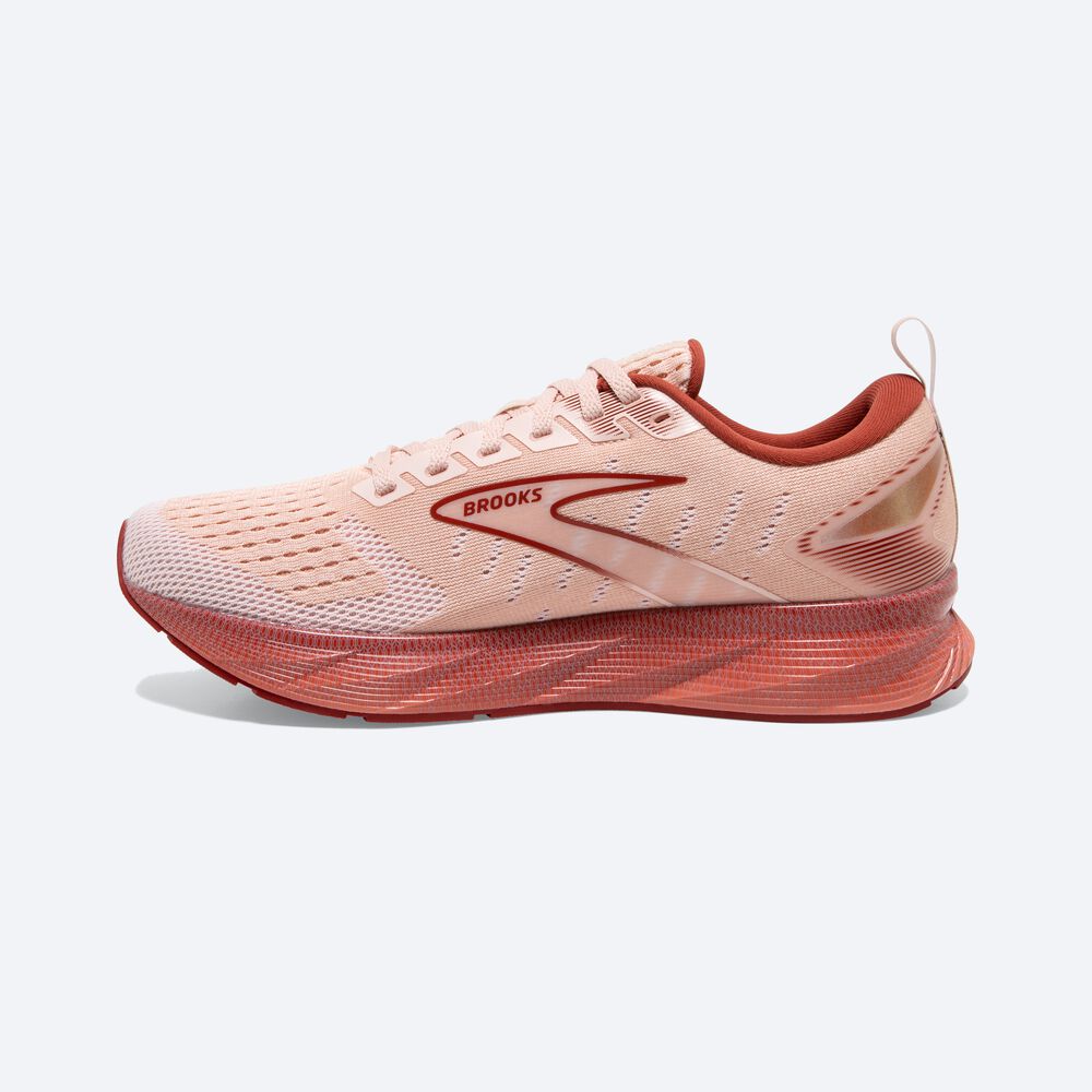 Women's Brooks Levitate 6 Road Running Shoes Pink | USA25903